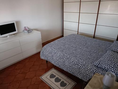 レッジョ・エミリアにあるA casa di Annamariaのベッドルーム(ベッド1台、ドレッサー内のテレビ付)