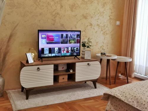 a television on a wooden stand in a living room at Apartman Puket in Kraljevo
