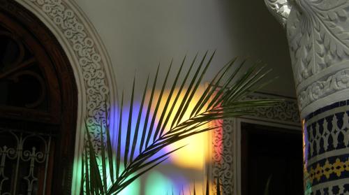 a room with a colorful wall with a plant at Ryad Mabrouka in Fès