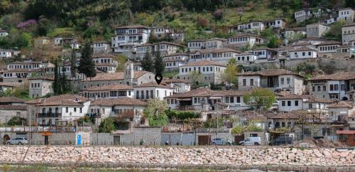 a large group of houses on a hillside at Hotel Gorica - UNESCO quarter in Berat