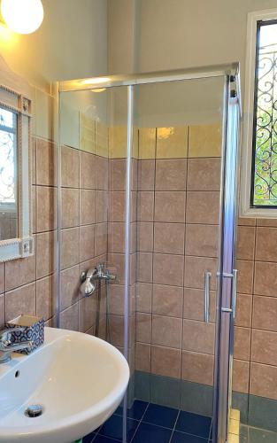 a bathroom with a shower and a white sink at Villa titika in Argostoli