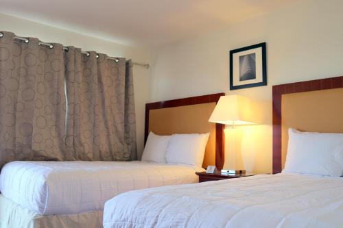 a hotel room with two beds and a lamp at Willcox Extended Residence Inn and Suites in Willcox