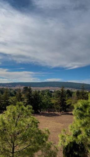 Vue d'un champ planté d'arbres en arrière-plan dans l'établissement Cabaña en Talpalpa 4 Soles, à San Antonio