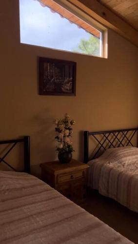 - une chambre avec 2 lits et une fenêtre dans l'établissement Cabaña en Talpalpa 4 Soles, à San Antonio