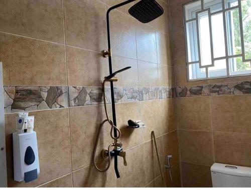 a shower in a bathroom next to a toilet at Hein apartment in Arusha