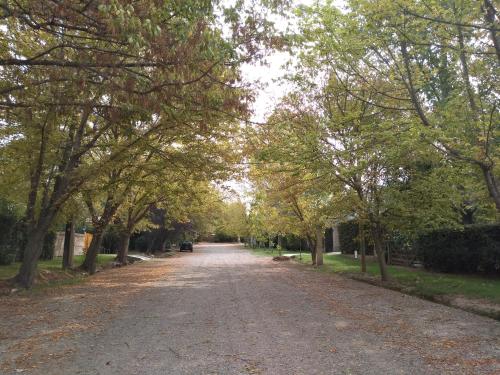 a dirt road with trees on either side at Acogedor departamento Los Ranchos in Chacras de Coria