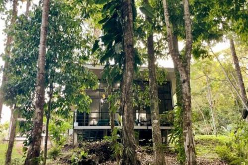 a building in the middle of a forest of trees at An abundance of wildlife at Jungle Glory Home Abajo in Manuel Antonio