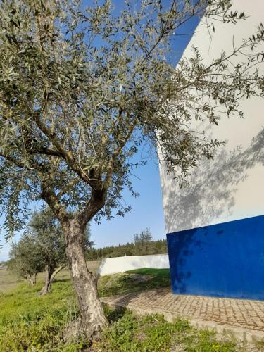un albero accanto a un muro blu e bianco di Monte do Rochinha a Monte da Cardosa