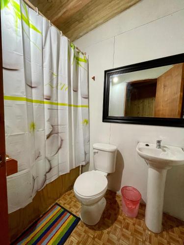 La salle de bains est pourvue de toilettes et d'un lavabo. dans l'établissement Hostería Lenca, à Puerto Montt