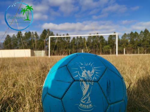 a blue soccer ball in a field with a goal at Palmares Apart Termal in Termas de Guaviyu