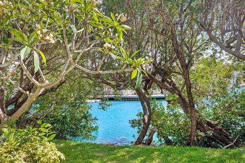 a swimming pool surrounded by trees and blue water at Palm Villa in Duck Key