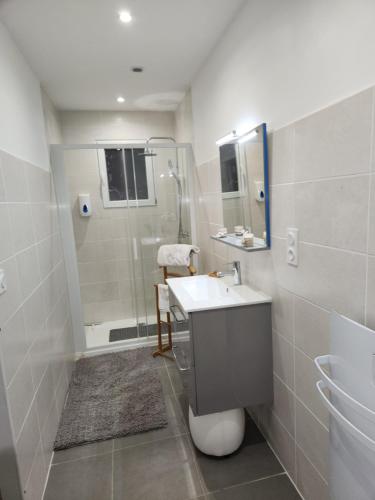 a bathroom with a toilet and a sink and a shower at Les Figuets in Châteauneuf-de-Galaure