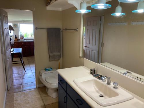 a bathroom with a sink and a toilet and a mirror at Kula Ohana in Captain Cook