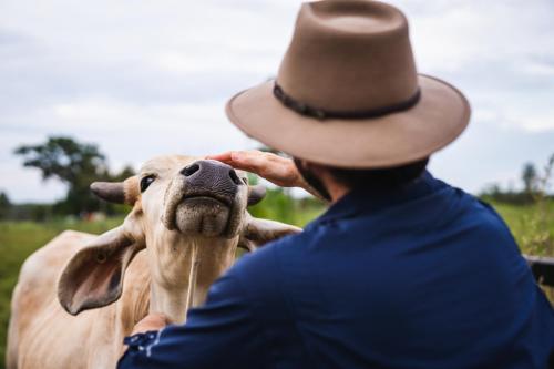 a man wearing a cowboy hat petting a cow at Litchfield Tropical Stay in Batchelor