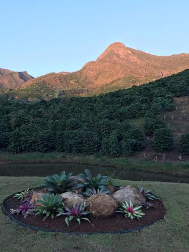 a garden with rocks and plants in front of a mountain at Valle Piemonte in Divisa