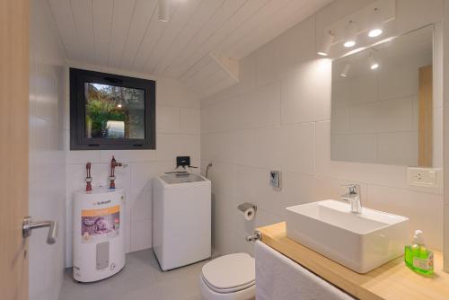 W łazience znajduje się umywalka, toaleta i lustro. w obiekcie Complejo Playa Bonita w mieście San Martín de los Andes
