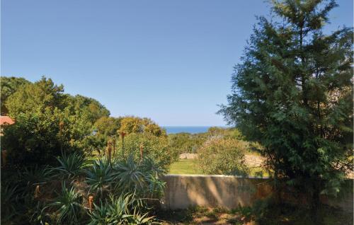 a garden with a tree and a stone wall at Awesome Home In Coti-Chiavari in Coti-Chiavari