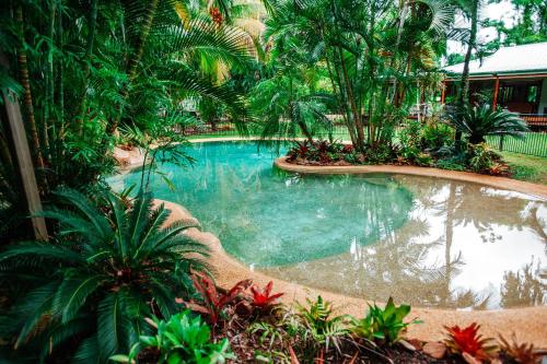 a swimming pool in a garden with palm trees at Paperbark Retreat in Cooktown
