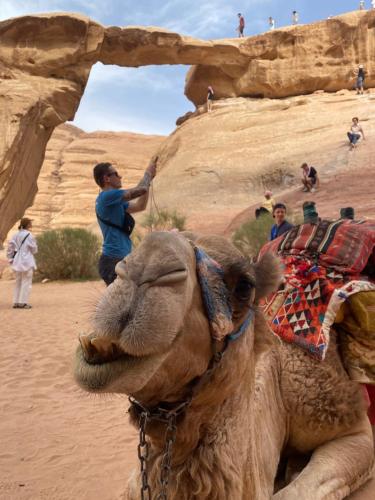 Huéspedes de Wadi Rum albasli camp