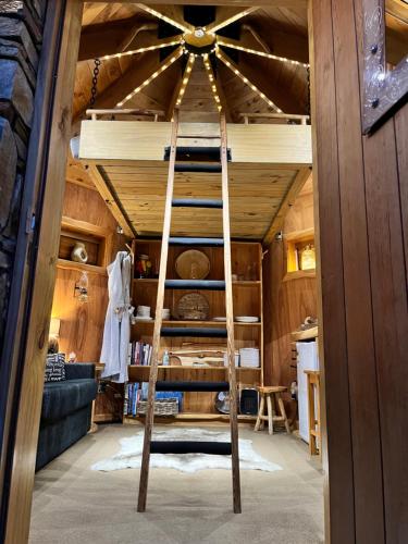 a ladder in a room with a bunk bed at Tree House Lodge Bed & Breakfast in Cheviot