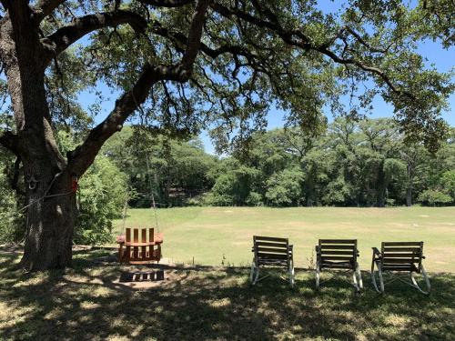 Lambert Park on Medina River – Photos 2