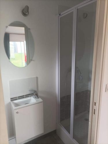 a bathroom with a shower and a sink and a mirror at maisonnette dans propriété 