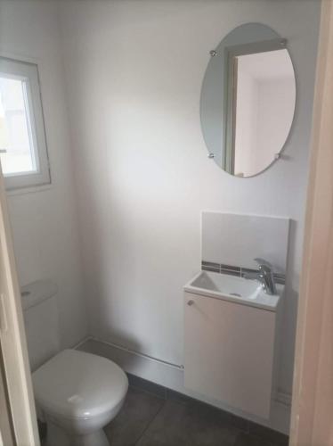a bathroom with a white toilet and a mirror at maisonnette dans propriété 