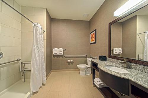 Un baño con ducha, inodoro y lavabo. en Holiday Inn Houston West - Westway Park by IHG, en Houston