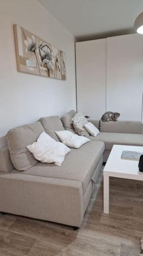 Studio jardin et terrasse – Photos 5