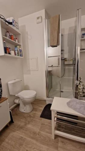 un piccolo bagno con servizi igienici e doccia di Studio jardin et terrasse a Corbeil-Essonnes
