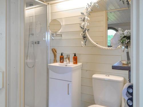 a bathroom with a toilet and a sink and a shower at Bracken - Uk34842 in Straiton