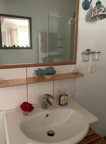 un lavabo blanc dans une salle de bain avec un miroir dans l'établissement Le Balcon Commingeois, à Chein-Dessus