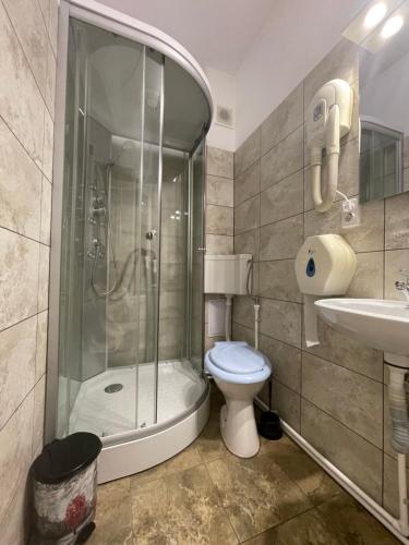 La salle de bains est pourvue d'une douche, de toilettes et d'un lavabo. dans l'établissement Pensiunea Relax, à Râmnicu Vâlcea