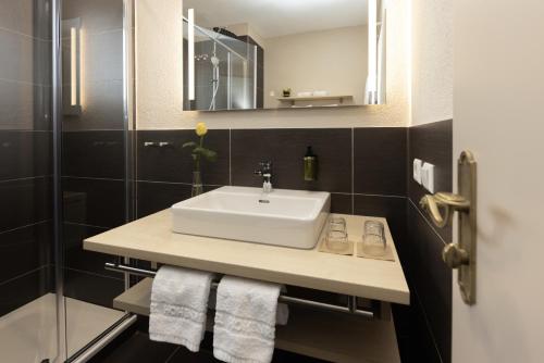 a bathroom with a sink and a shower at Das Hohenried in Freudenstadt
