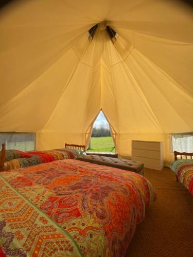 a bedroom with two beds in a tent at The Llama Farm France in Saint-Cyr-les-Champagnes