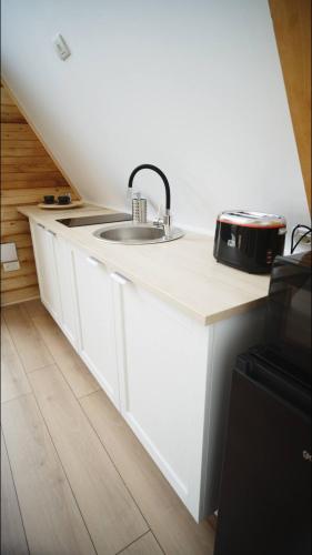 a kitchen with a sink and a counter top at Cabanele A Frame, Salciua Noua in Sălciua Nouă