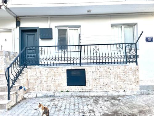 a cat sitting in front of a building with a balcony at Foça- Phokai Living. in Foça