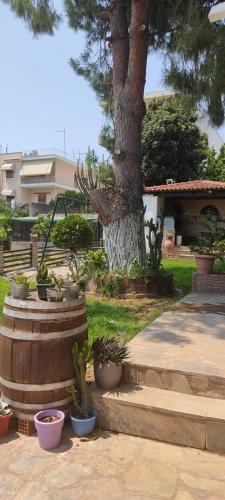 Gallery image of Alice house 3 in Amarinthos