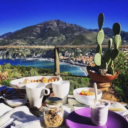 a picnic table with a cactus and plates of food at B&B Maremesco in Levanto