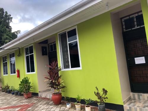 a green house with plants in front of it at L&J Modern Backpackers Kinondoni in Dar es Salaam