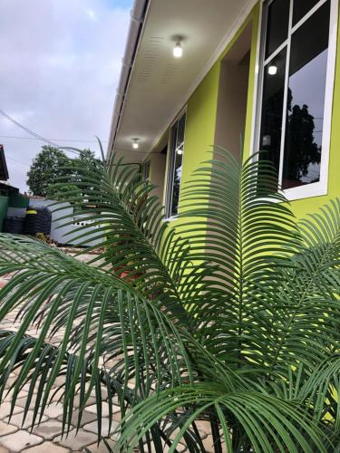 ein grünes Haus mit einer Palmenpflanze davor in der Unterkunft L&J Modern Backpackers Kinondoni in Daressalam