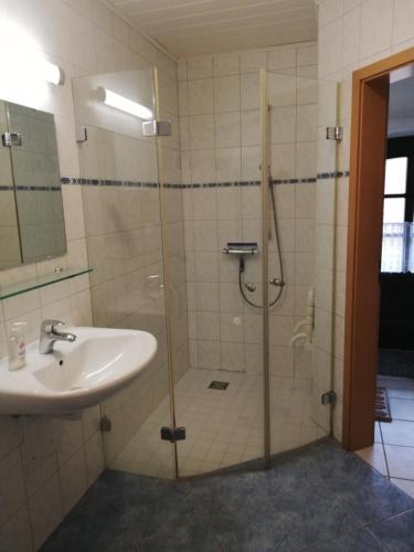 a bathroom with a shower and a sink at Hof Koopmann in Dahlem