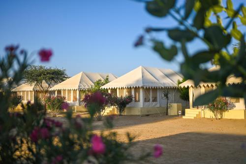 Jardin de l'établissement Jaisalmer Winds Desert Camp