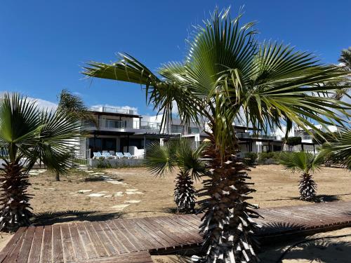 a group of palm trees in front of a building at The Best Apartment on the beach 'Caesar Beach' Bogaz, North Cyprus in Boğaz