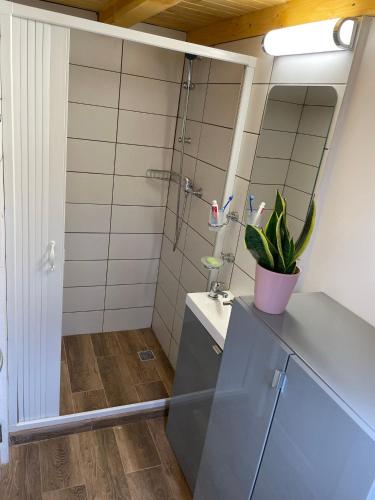 a bathroom with a shower and a sink and a mirror at Tiny Heaven Chidea in Chidea