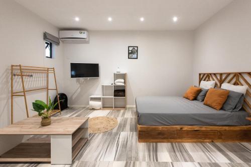 LeCosyCanonniersStudio1