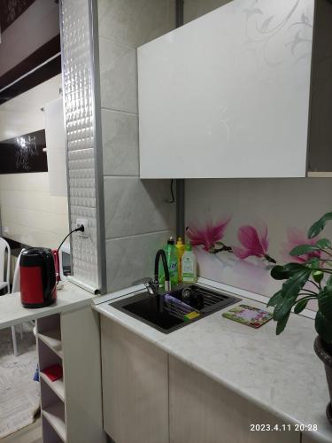 Η κουζίνα ή μικρή κουζίνα στο comfortable luxury apartment