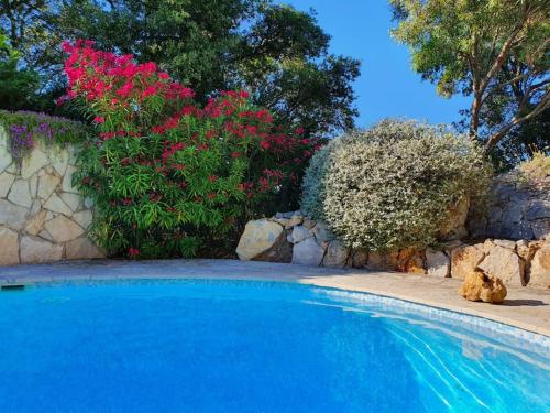 a teddy bear sitting next to a swimming pool with flowers at Spacious Villa with Pool and Fireplace in Roquebrune-sur-Argens