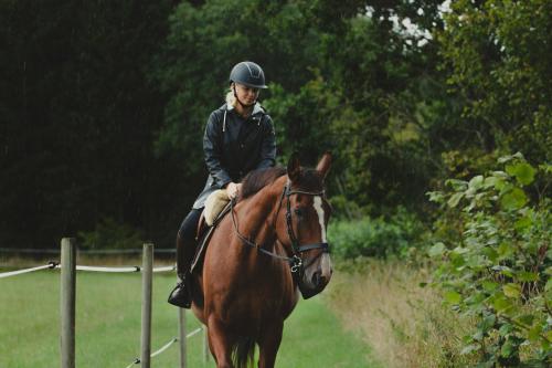 a man riding a brown horse down a trail at Luett Huus in Gartow