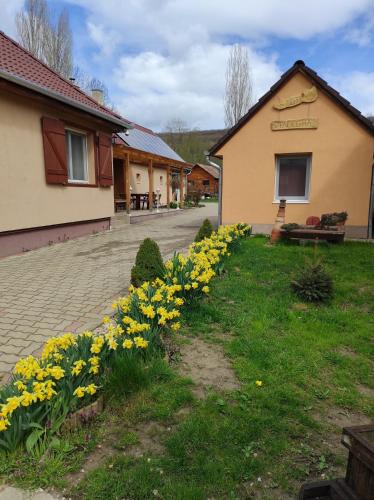 a group of yellow flowers in the grass next to a building at Szofi Vendégház in Kereki